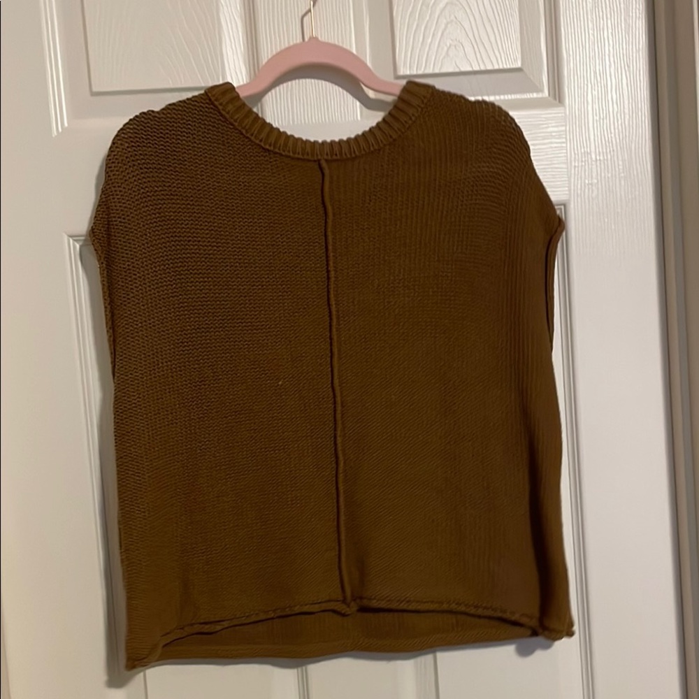 Brown Sleeveless Knit Sweater